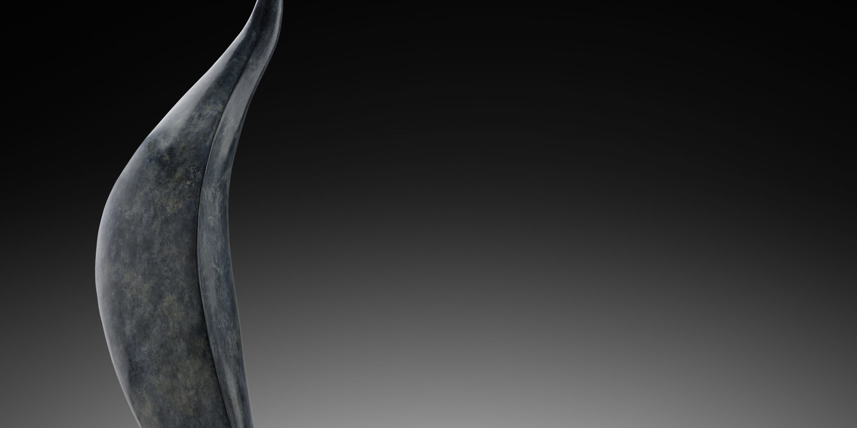 Alma Mater 1 – Bronze, 2018 – H. 50cm L. 40cm P. 15cm